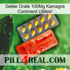 Gelée Orale 100Mg Kamagra Comment Utiliser new01